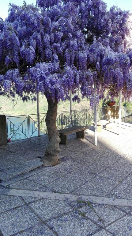 La Casa Di Milady Bed & Breakfast Genzano di Roma Exterior foto